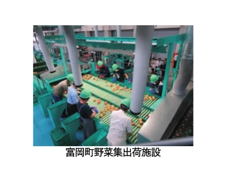 富岡町野菜集出荷施設で作業員が野菜の選別を行っている様子を捉えた写真