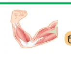 figure (conf=0.53)