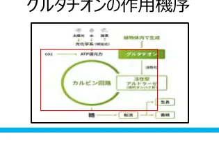 figure (conf=0.95)