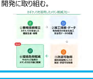 figure (conf=0.88)