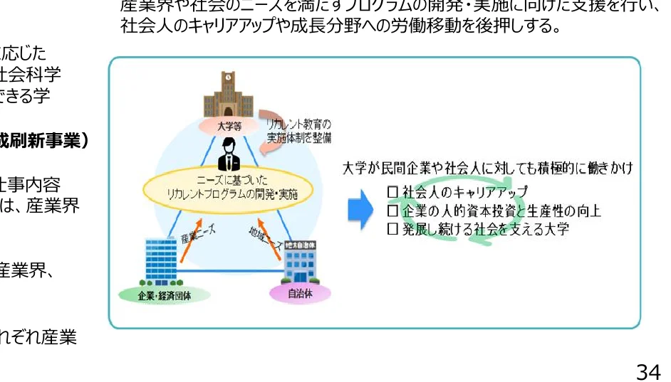 大学、企業・経済団体、自治体が連携し、ニーズに基づいたリカレントプログラムの開発・実施を通じて、社会人のキャリアアップや成長分野への労働移動を支援するプロセス図。