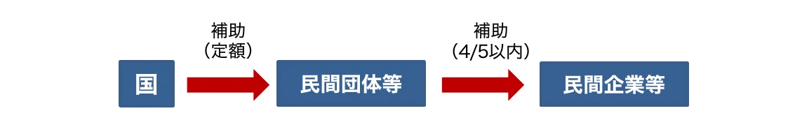 国から民間団体等への補助（定額）、そして民間団体等から民間企業等への補助（4/5以内）の流れを示すフロー図。