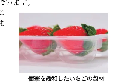 衝撃を緩和する特殊な容器に入れられたいちごの写真