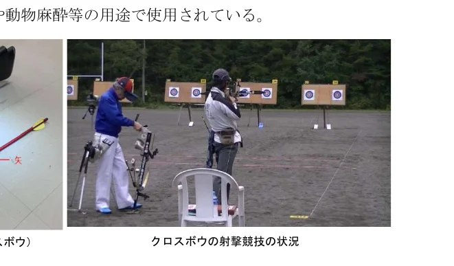 アーチェリー競技の様子