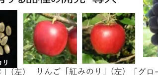 figure (conf=0.53)