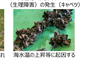 figure (conf=0.91)