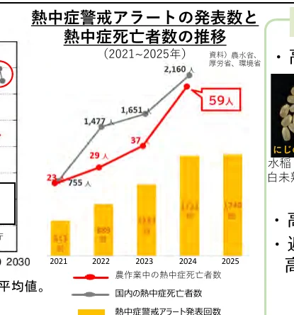 figure (conf=0.88)