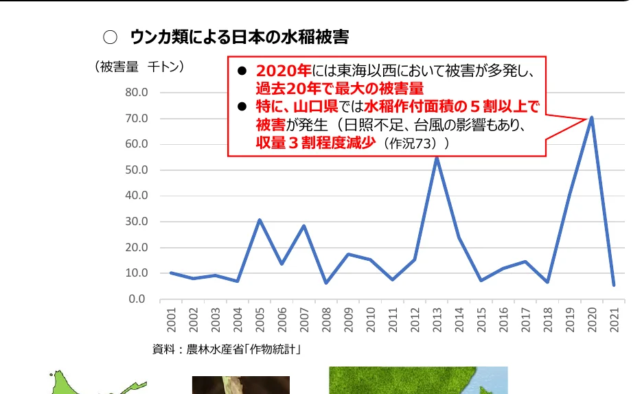 ウンカ類による日本の水稲被害量の推移（2001年～2021年）