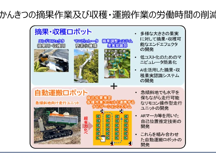 インフォグラフィック