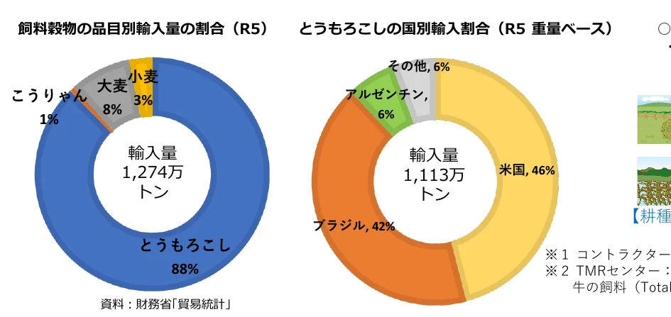 飼料穀物の品目別輸入量の割合と、とうもろこしの国別輸入割合を示すドーナツチャート