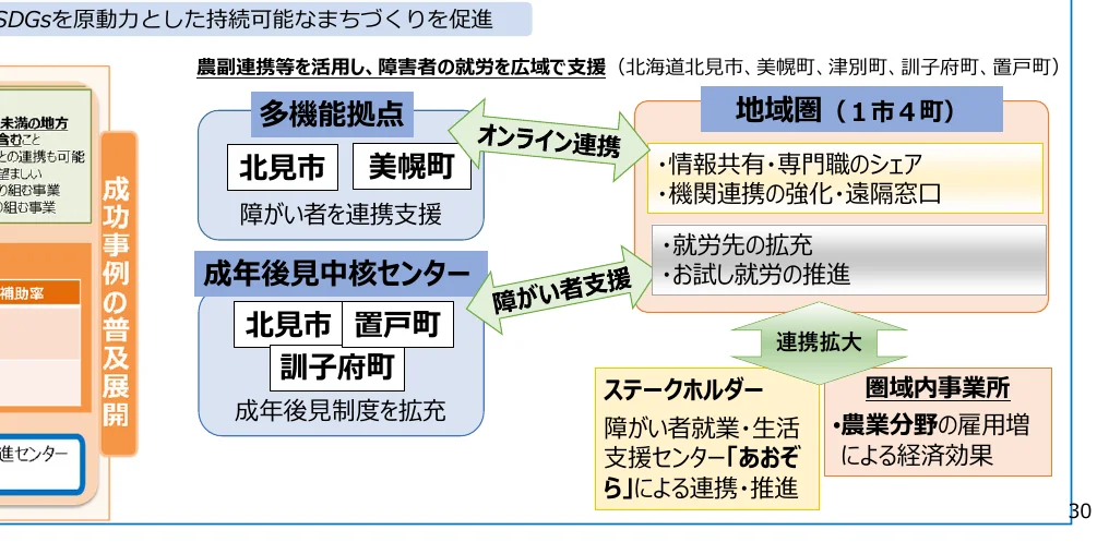 SDGsを原動力とした持続可能なまちづくりを促進するための、農副連携等を活用し、障害者の就労を広域で支援するフロー図。地域圏（1市4町）におけるオンライン連携や障害者支援の取り組み、ステークホルダーとの連携拡大、圏域内事業所との連携による経済効果などが示されている。