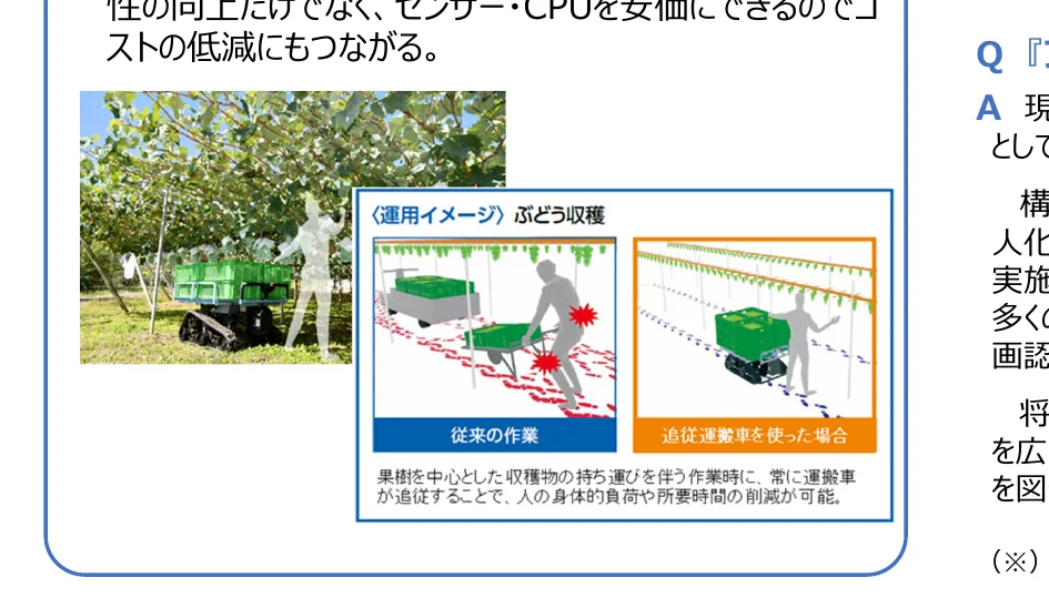 インフォグラフィック