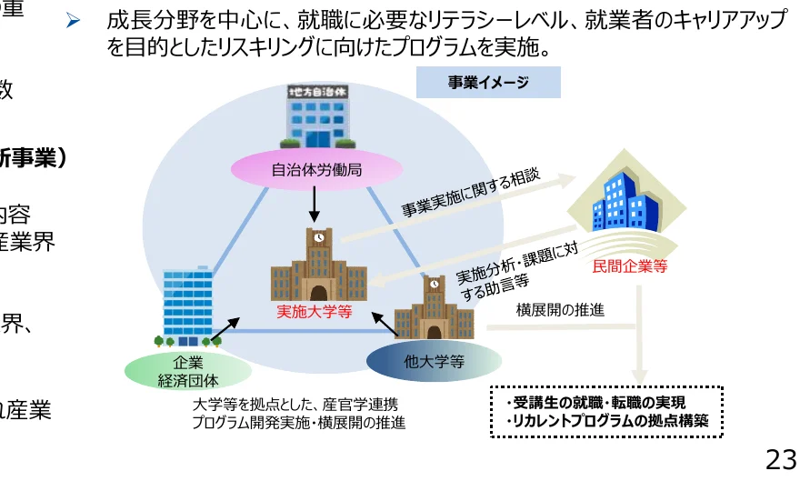 成長分野を中心に、就職に必要なリテラシーレベル、就業者のキャリアアップを目的としたリスキリングに向けたプログラムを実施する事業イメージ図。