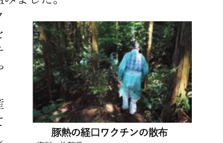 森の中を歩く防護服を着た人々