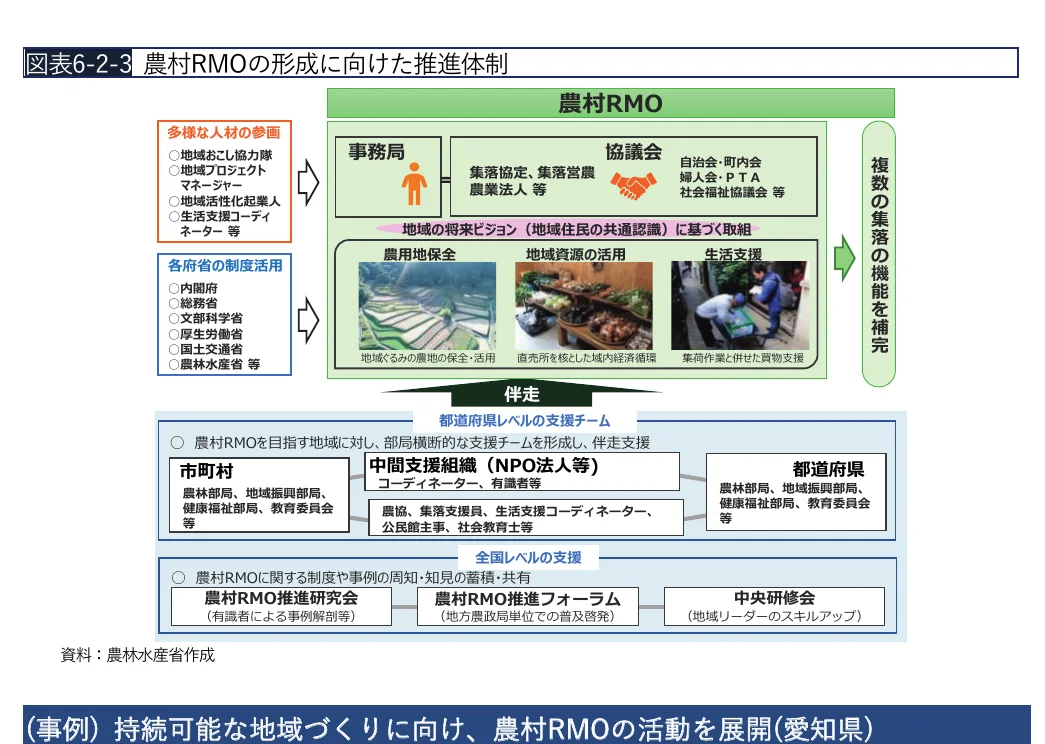 農村RMOの形成に向けた推進体制のフロー図