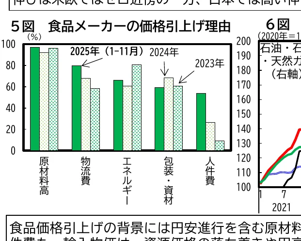 食品メーカーの価格引き上げ理由を示す棒グラフと、石油・天然ガス価格の推移を示す折れ線グラフ