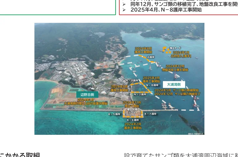 辺野古沖合の埋め立て工事とサンゴ移植のタイムラインを示すインフォグラフィック