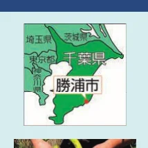 千葉県勝浦市の位置を示す地図
