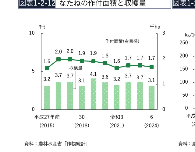 菜種油の作付面積と収穫量の推移を示す複合グラフ（棒グラフと折れ線グラフ）