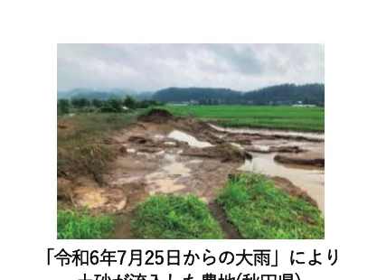 大雨により土砂が流入した農地