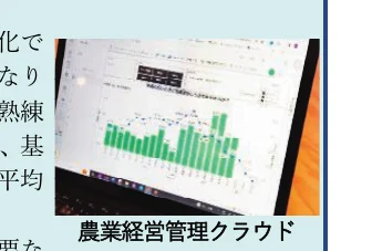 棒グラフと折れ線グラフが組み合わされた複合グラフ