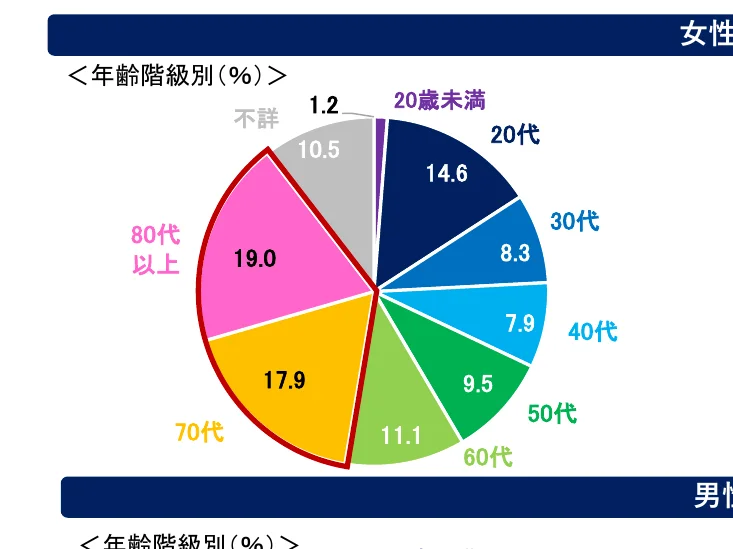 年齢階級別の割合を示す円グラフ