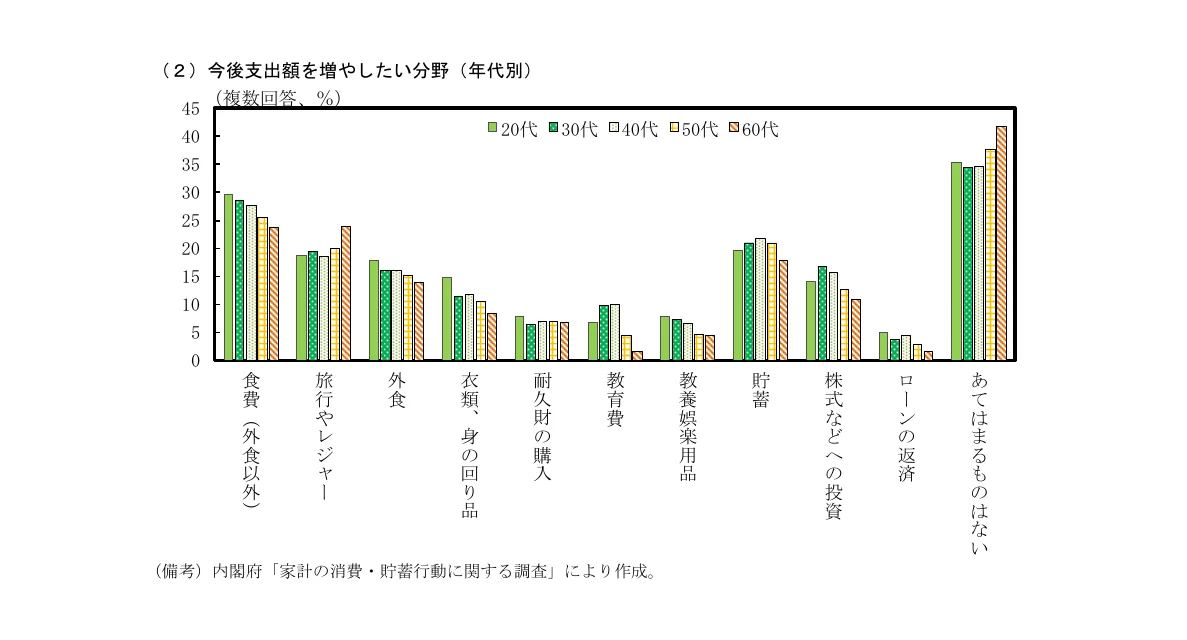 年代別の今後支出を増やしたい分野に関する棒グラフ