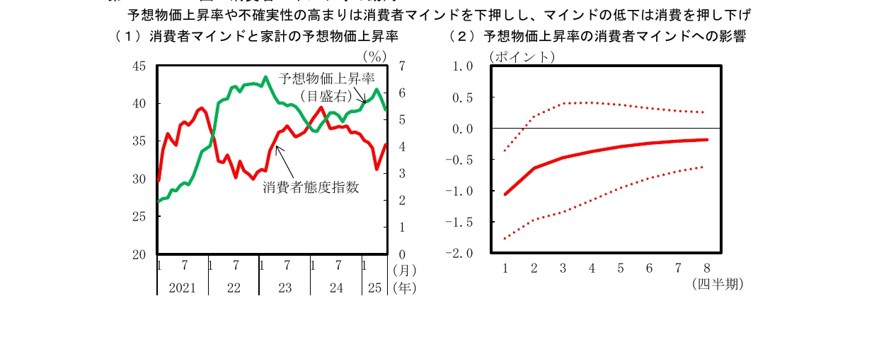 左のグラフは消費者マインドと家計の予想物価上昇率の推移を示す折れ線グラフ、右のグラフは予想物価上昇率の消費者マインドへの影響を示す折れ線グラフと信頼区間。
