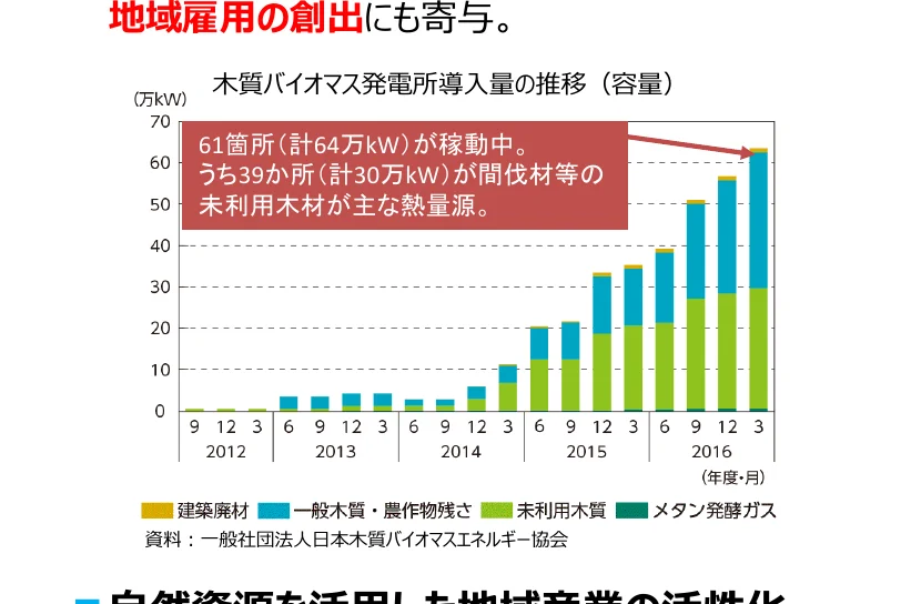 木質バイオマス発電所導入量の推移（容量）