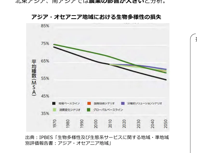 figure (conf=0.98)