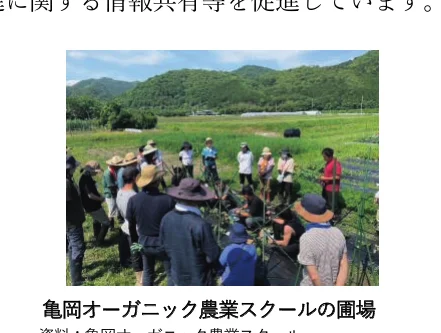 亀岡オーガニック農業スクールの圃場