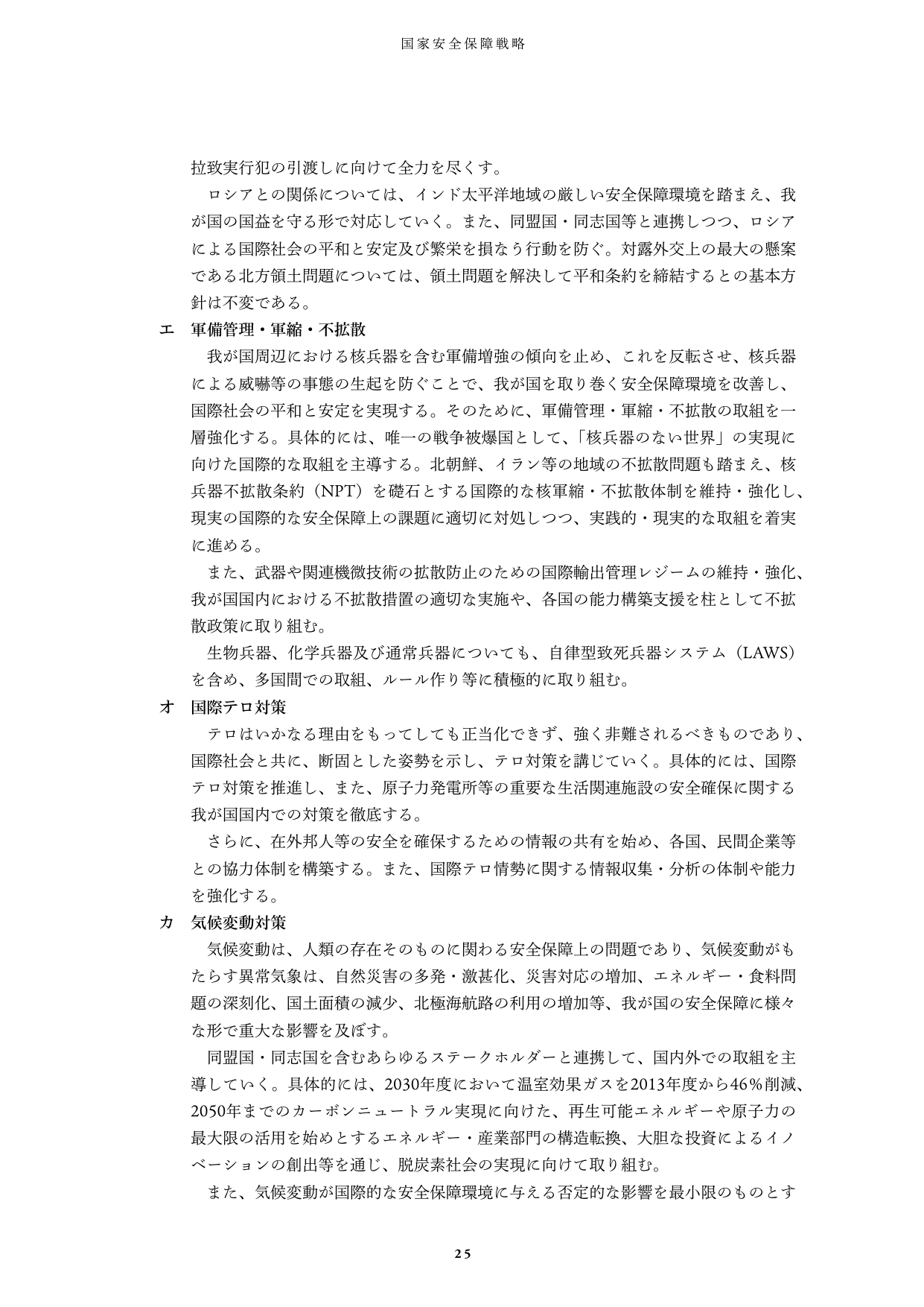 国家安全保障戦略