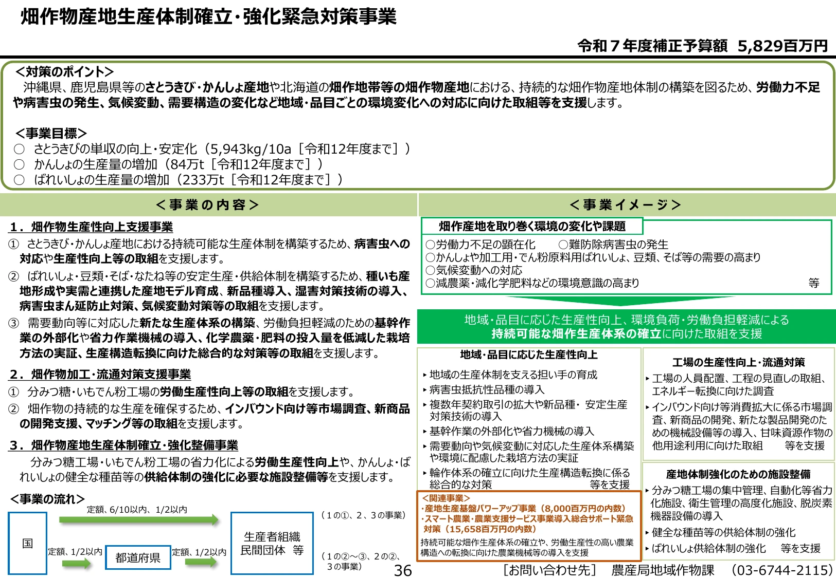 p.41