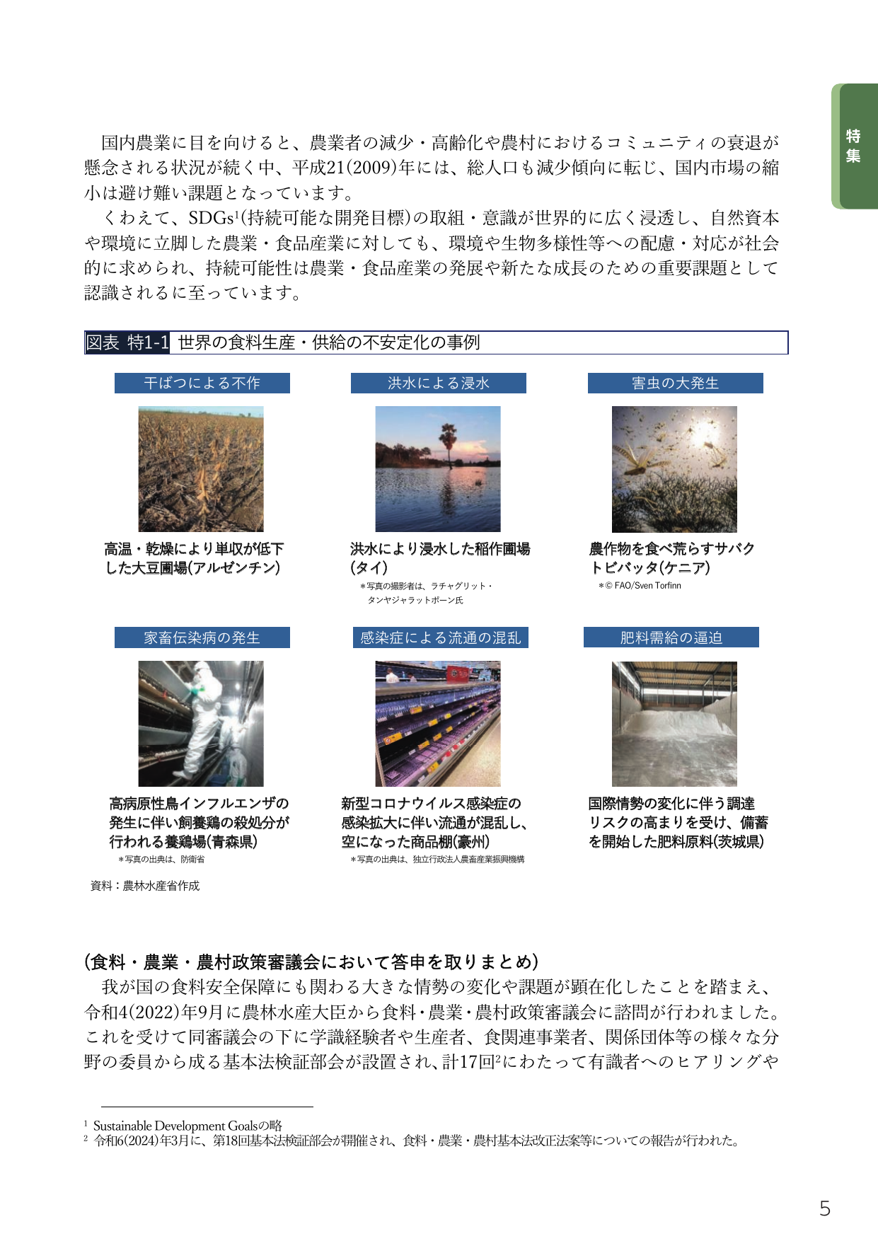 p.19