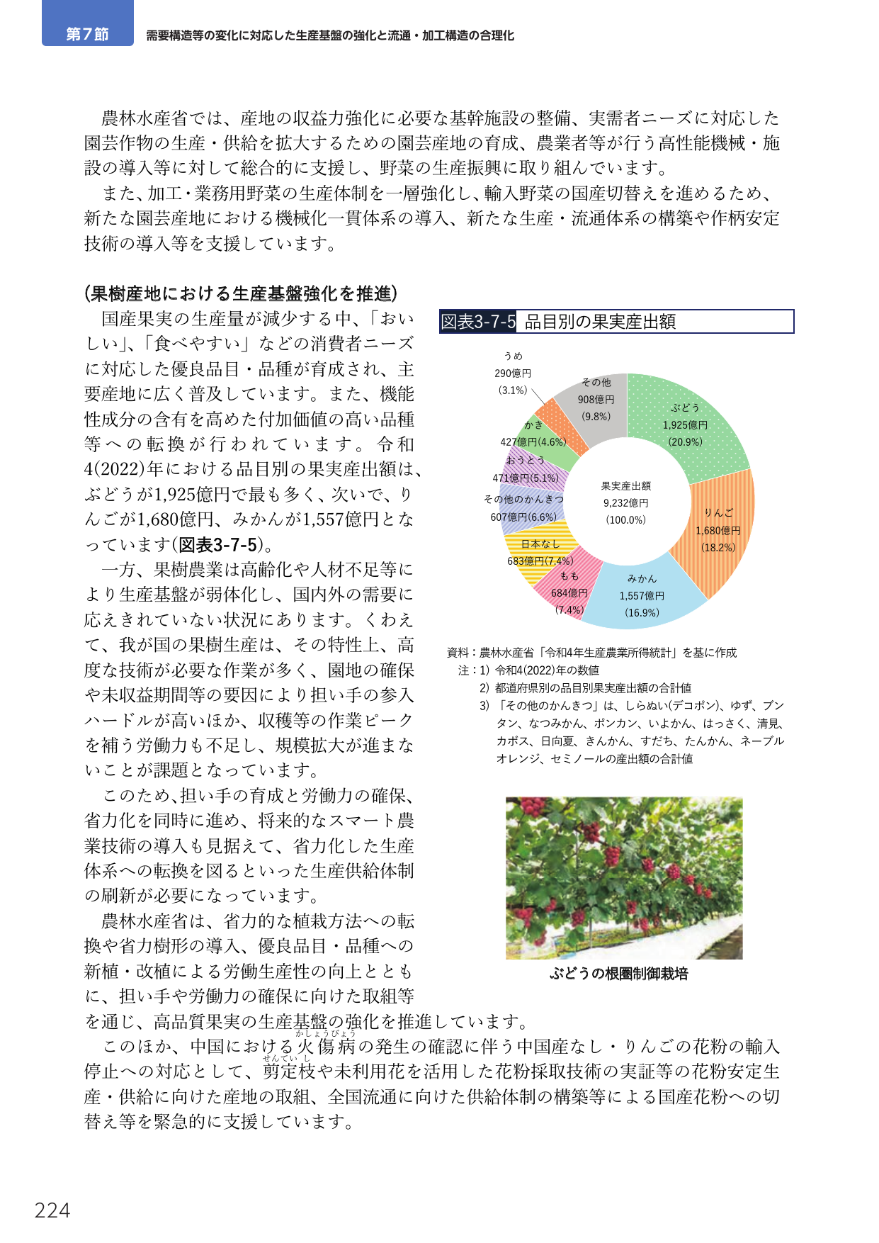 p.238