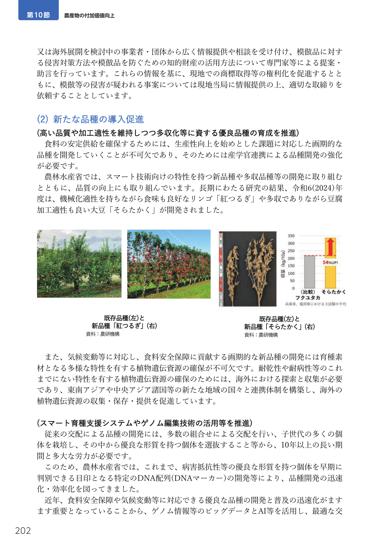 第10節 農産物の付加価値向上