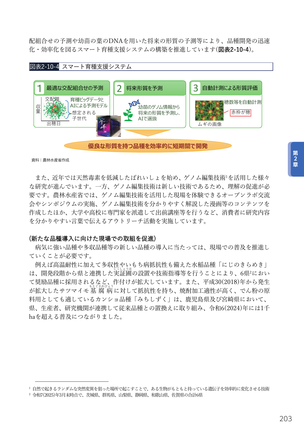 スマート育種支援システムと品種導入の取組