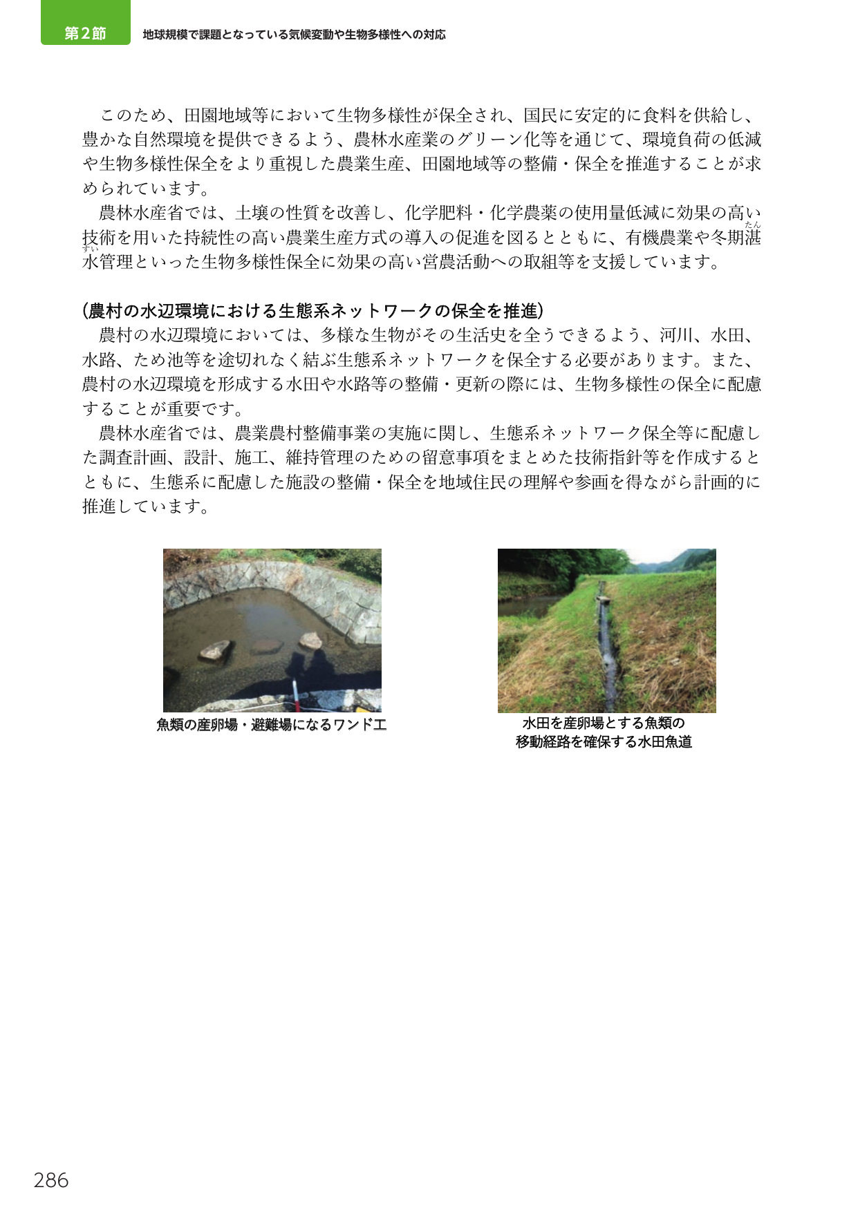 p.304