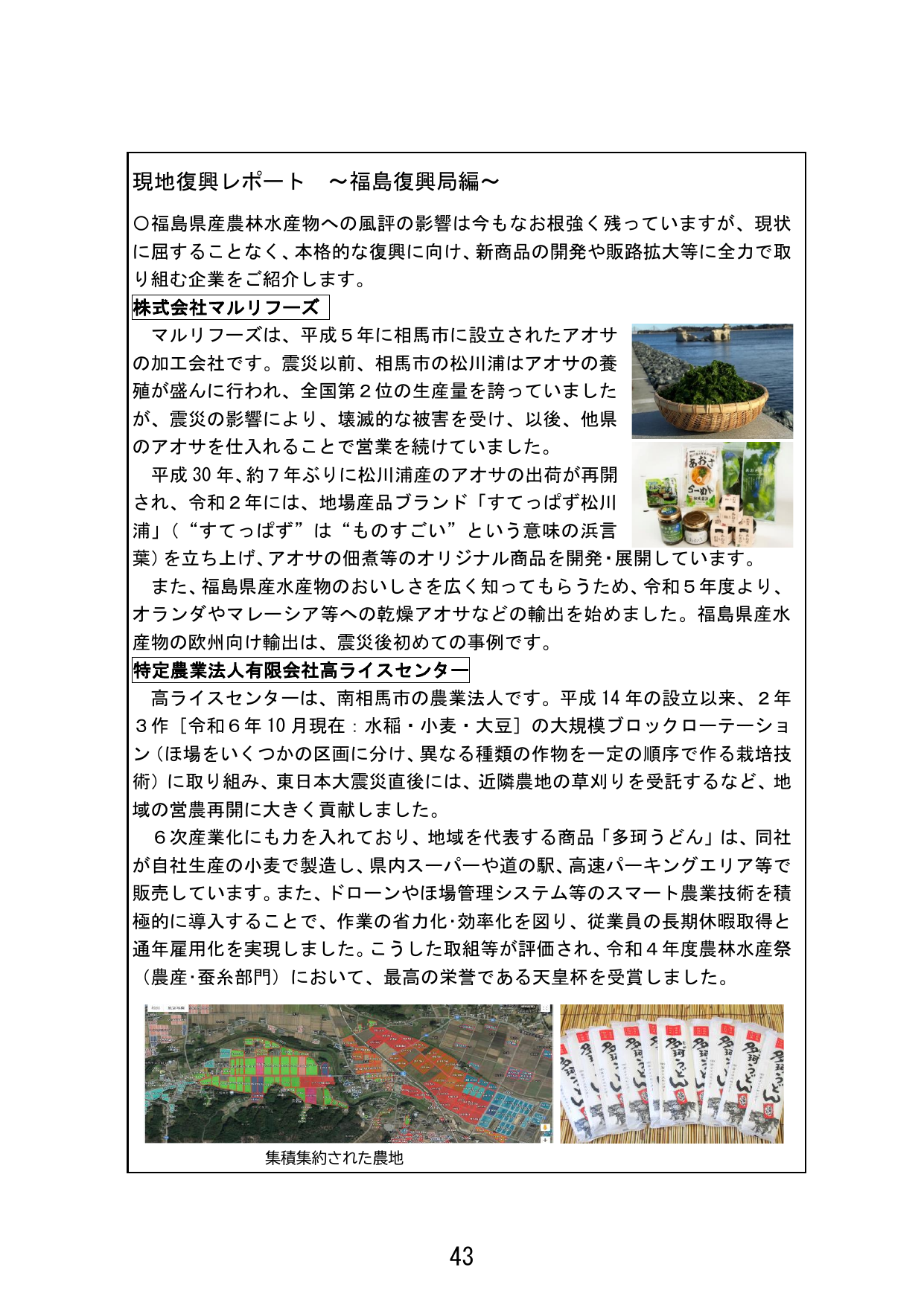 p.51